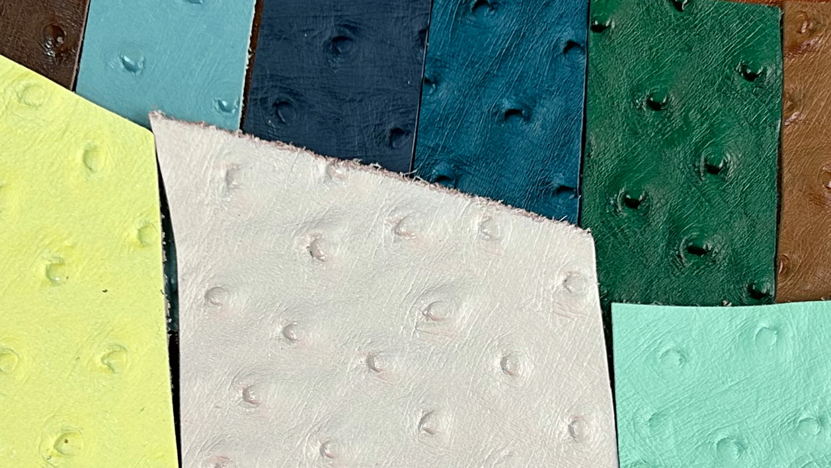 PVC synthetic leather ostrich pattern display